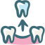 Wisdom Tooth Extraction
